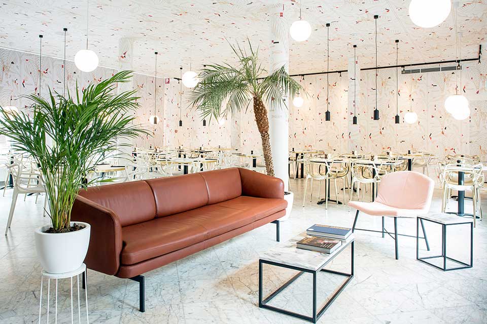 LBG Spaces Little Cannes 2